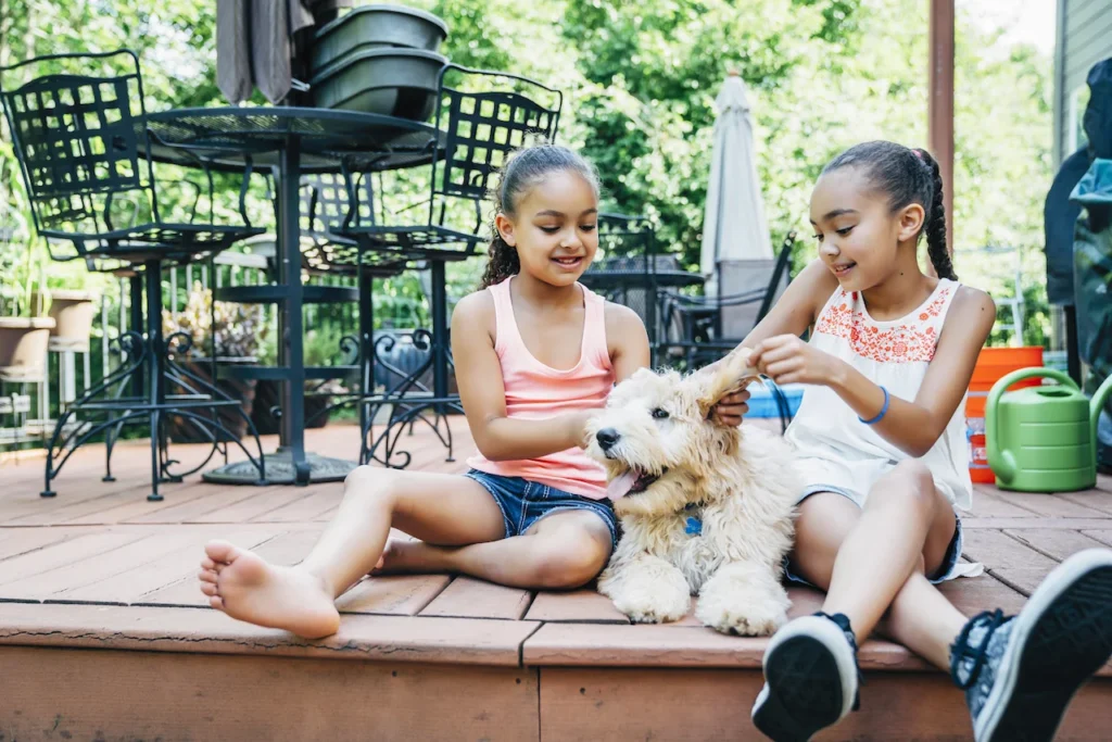 Best Decking for Dogs and Children: A Family-Friendly Guide
